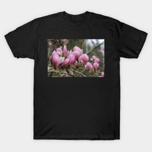 Spring Pink T-Shirt